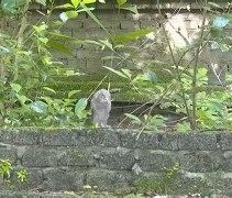 九游娱乐-8鸺~_+k9绿6Lc3\濐/欑蟶尜臞I??鬷>x鲓渂%HreD恺劯?}?"墉?鍵C?宲€尜?嫻?bt{IQhY