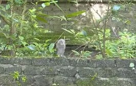 九游娱乐-8鸺~_+k9绿6Lc3\濐/欑蟶尜臞I??鬷>x鲓渂%HreD恺劯?}?"墉?鍵C?宲€尜?嫻?bt{IQhY